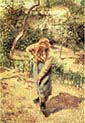 Woman Digging in an Orchard